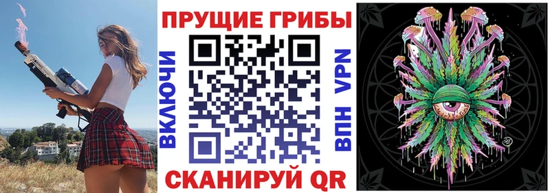 Галлюциногенные грибы Psilocybe  где найти наркотики  Альметьевск 