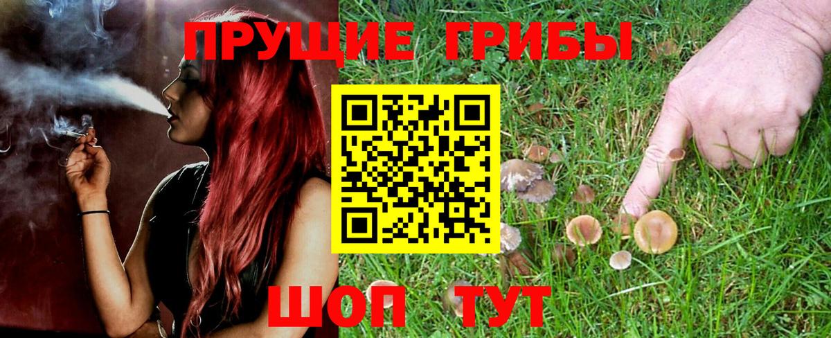 Альметьевск  Галлюциногенные грибы Psilocybe  купить наркоту  Вход с VPN 