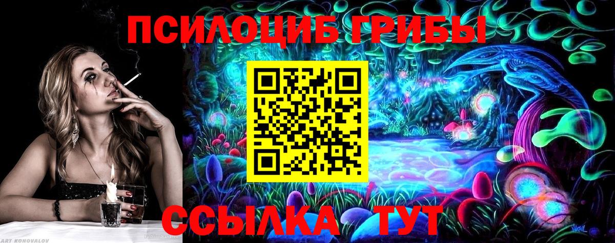 Галлюциногенные грибы Psilocybine cubensis Альметьевск